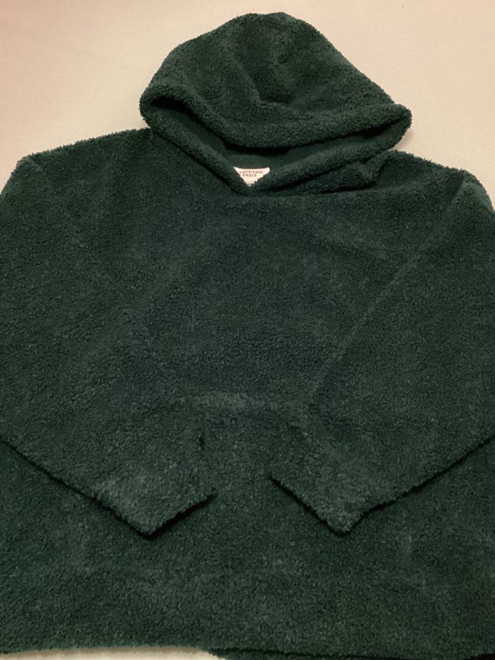 American Eagle cozy Sherpa type hoodie